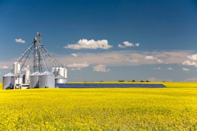 energia solar na agropecuária